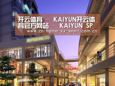 案例展示一(图1)